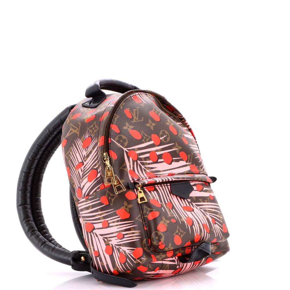 Louis Vuitton Palm Springs Backpack #219183L18B - Picture 2 of 9